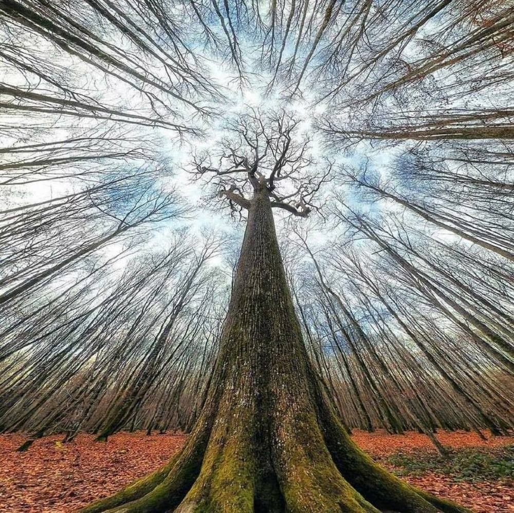 Meet your Posher, Jay